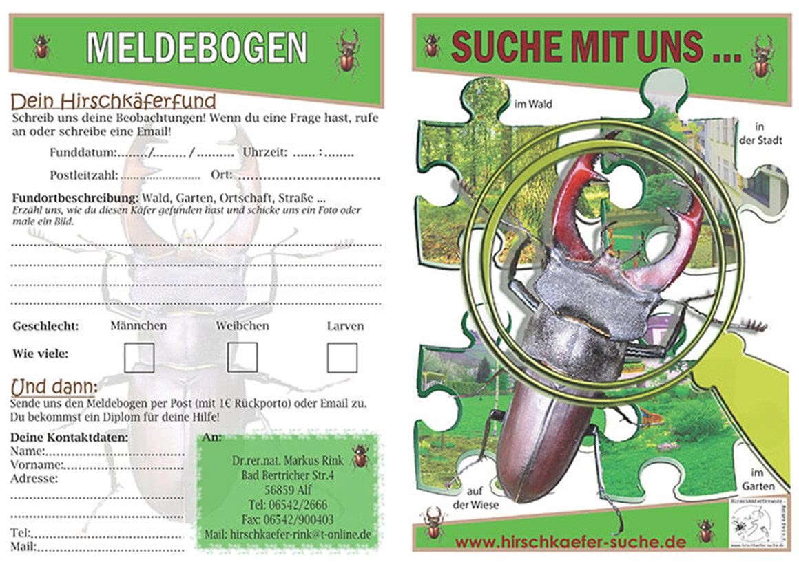 Hirschkaefer-Suche-Infoflyer-Kinder-S1