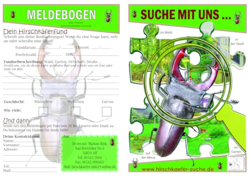 Kinderflyer Cover